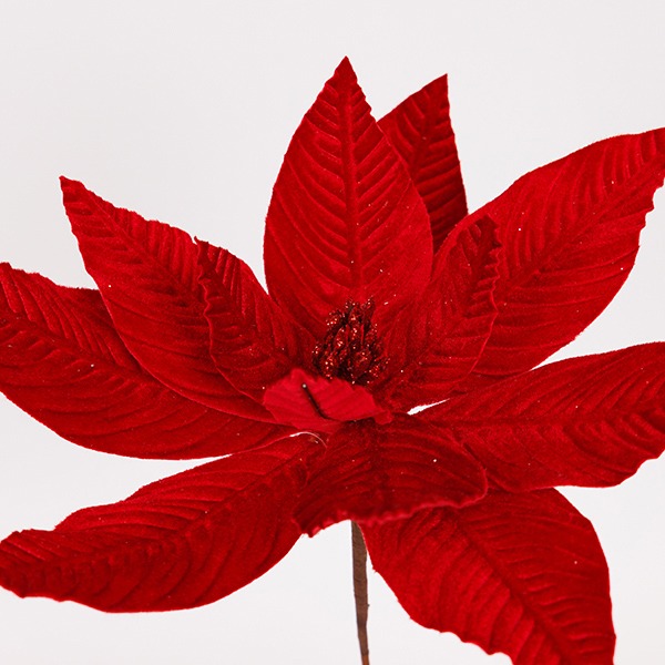 ΑΛΕΞΑΝΔΡΙΝΟ, ΒΕΛΟΥΔΙΝΟ, ΟΛΟ ΚΟΚΚΙΝΟ, 30x24cm