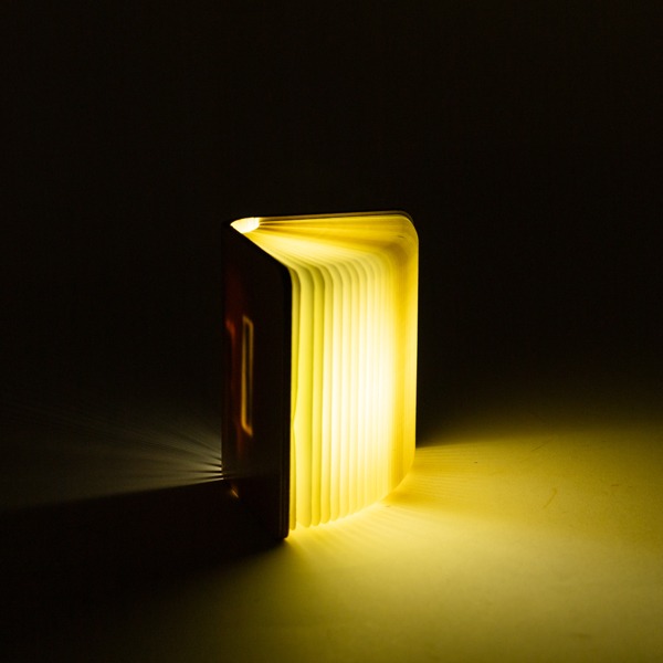 ΒΙΒΛΙΟ ΦΩΤΙΖΟΜΕΝΟ 8,5x12, 8 LED, ΕΠΑΝΑΦΟΡΤΙΖΟΜΕΝΗ ΜΠΑΤΑΡΙΑ, ΘΕΡΜΟ ΛΕΥΚΟ/ΘΕΡΜΟ/ΛΕΥΚΟ LED, USB TO TYPE C WIRE, ΠΡΟΕΚΤΑΣΗ ΠΑΡΟΧΗΣ 30cm, IP20