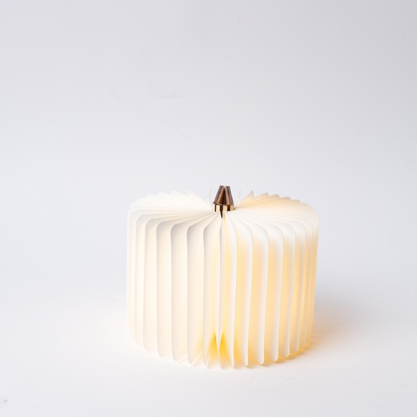 ΒΙΒΛΙΟ ΦΩΤΙΖΟΜΕΝΟ 8,5x12, 8 LED, ΕΠΑΝΑΦΟΡΤΙΖΟΜΕΝΗ ΜΠΑΤΑΡΙΑ, ΘΕΡΜΟ ΛΕΥΚΟ/ΘΕΡΜΟ/ΛΕΥΚΟ LED, USB TO TYPE C WIRE, ΠΡΟΕΚΤΑΣΗ ΠΑΡΟΧΗΣ 30cm, IP20