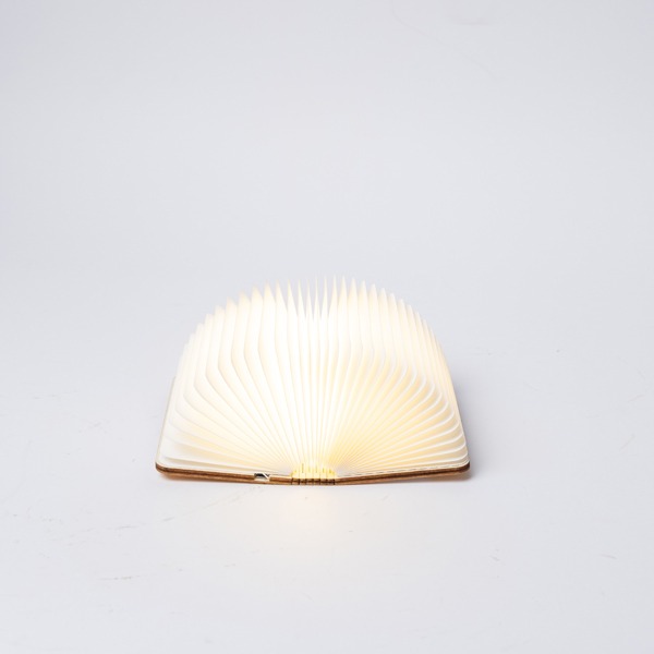 ΒΙΒΛΙΟ ΦΩΤΙΖΟΜΕΝΟ 8,5x12, 8 LED, ΕΠΑΝΑΦΟΡΤΙΖΟΜΕΝΗ ΜΠΑΤΑΡΙΑ, ΘΕΡΜΟ ΛΕΥΚΟ/ΘΕΡΜΟ/ΛΕΥΚΟ LED, USB TO TYPE C WIRE, ΠΡΟΕΚΤΑΣΗ ΠΑΡΟΧΗΣ 30cm, IP20