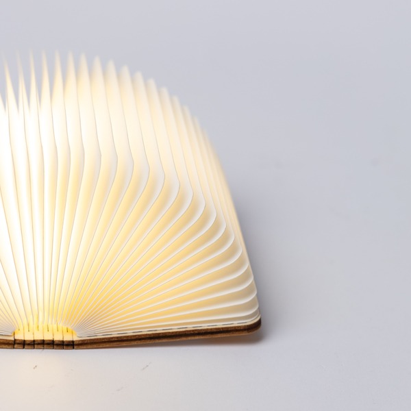 ΒΙΒΛΙΟ ΦΩΤΙΖΟΜΕΝΟ 8,5x12, 8 LED, ΕΠΑΝΑΦΟΡΤΙΖΟΜΕΝΗ ΜΠΑΤΑΡΙΑ, ΘΕΡΜΟ ΛΕΥΚΟ/ΘΕΡΜΟ/ΛΕΥΚΟ LED, USB TO TYPE C WIRE, ΠΡΟΕΚΤΑΣΗ ΠΑΡΟΧΗΣ 30cm, IP20