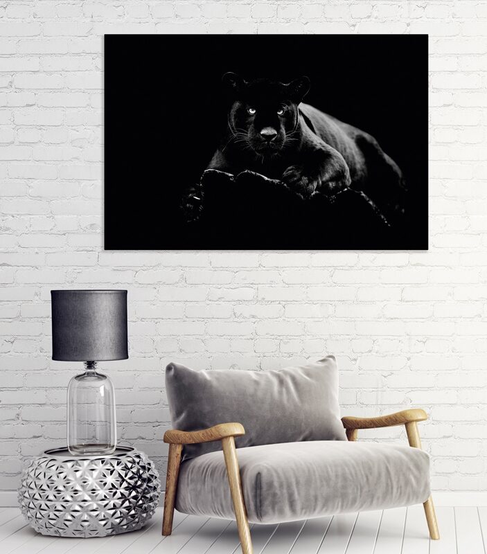 Πίνακας Panther Γυαλί Μαύρο 80x120εκ