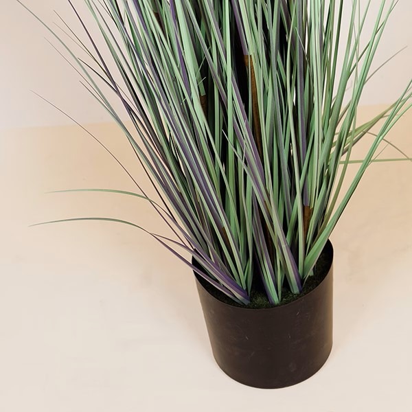 ΦΥΤΟ ΓΡΑΣΙΔΙ ΣΕ ΓΛΑΣΤΡΑ ΠΛΑΣΤΙΚΟ 183cm