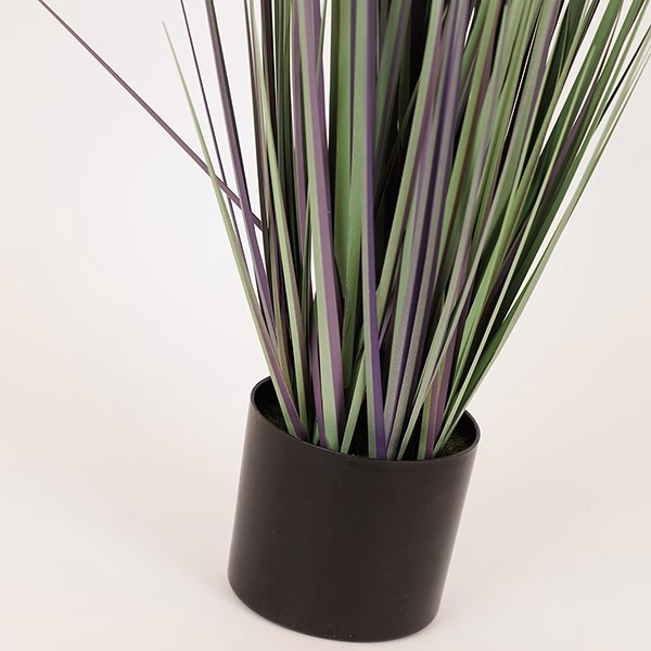 ΦΥΤΟ ΓΡΑΣΙΔΙ ΣΕ ΓΛΑΣΤΡΑ ΠΛΑΣΤΙΚΟ 69cm